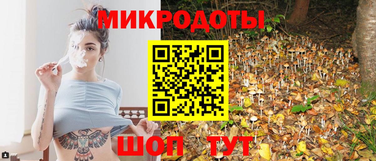 Псилоцибиновые грибы Cubensis  Вход с VPN  Калининград 