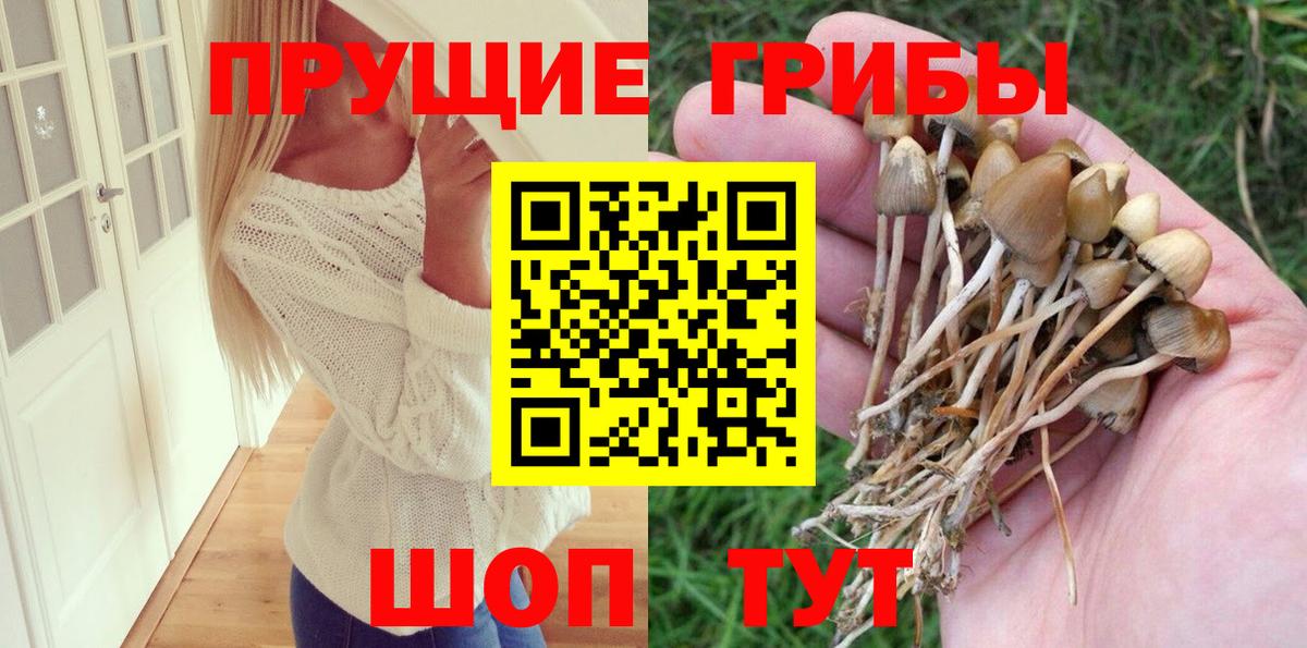 Галлюциногенные грибы GOLDEN TEACHER Калининград